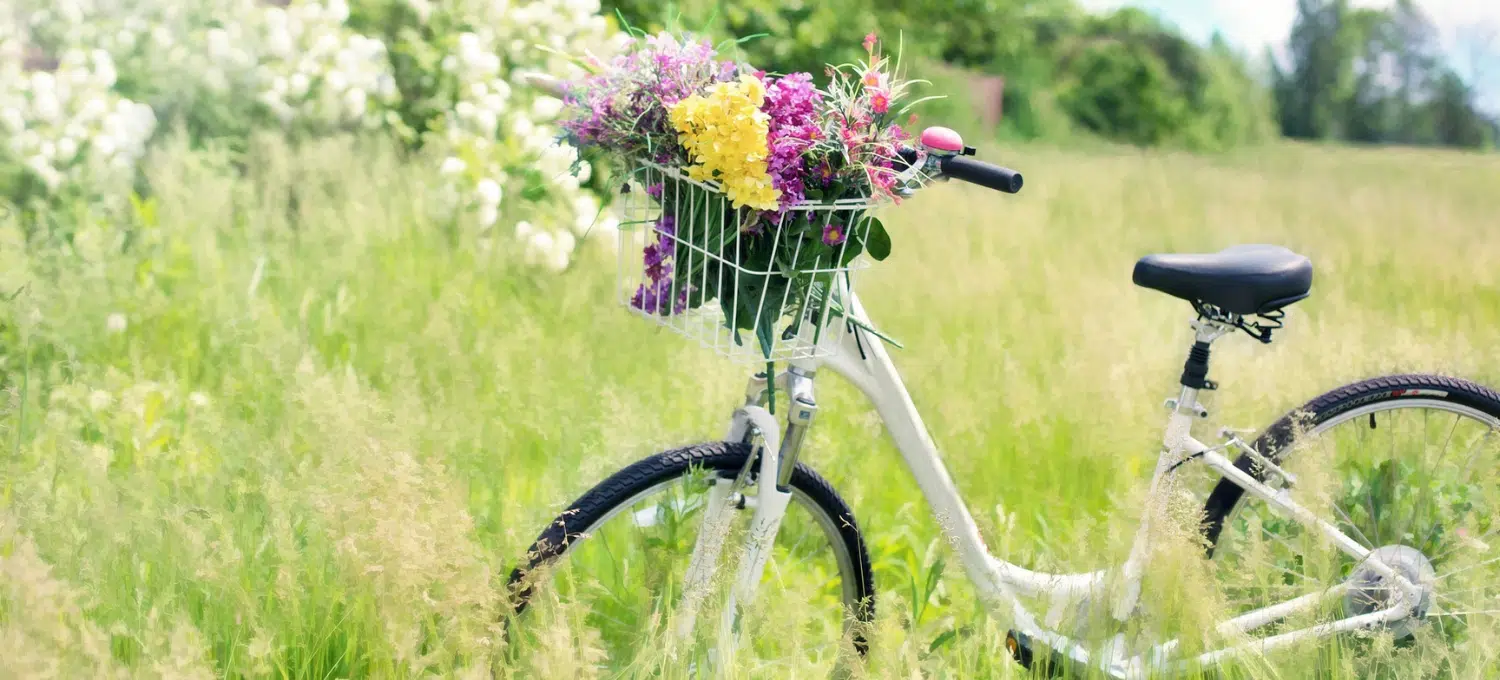 Mai à vélo, l’occasion de fêter le vélo et la sécurité des mobilités douces