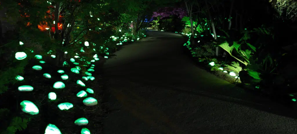 realisation-terra-botanica-luminokrom5