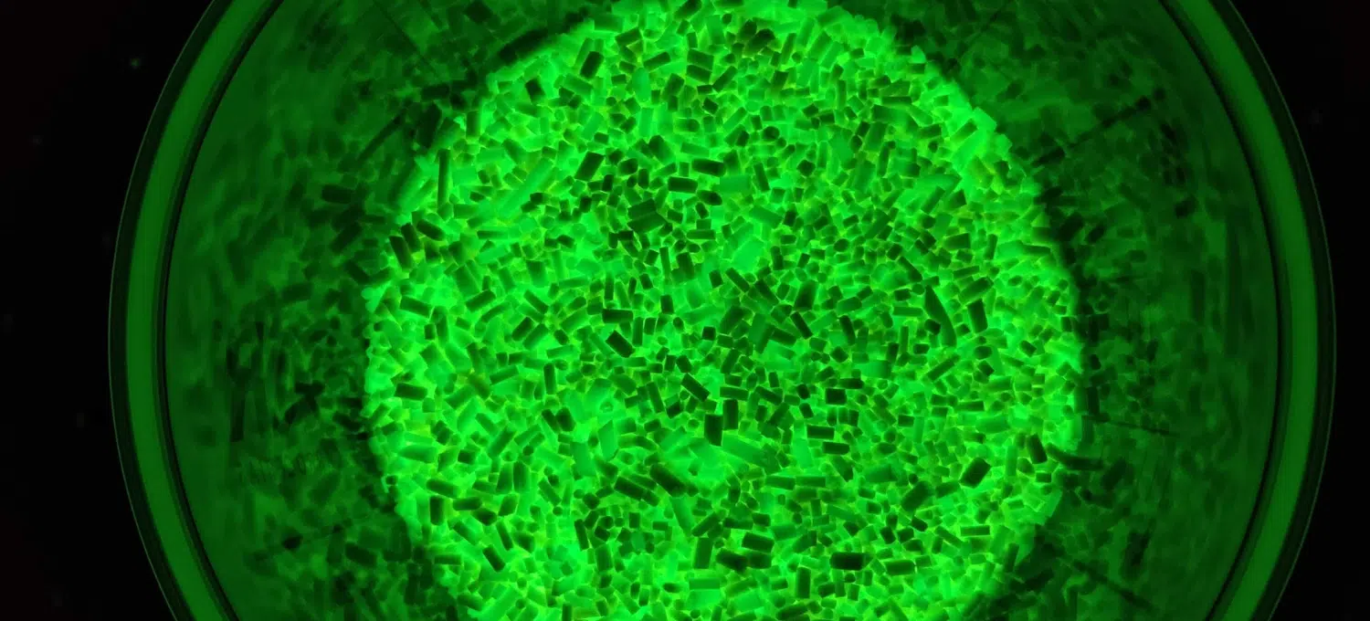 What is the difference between fluorescence / phosphorescence?