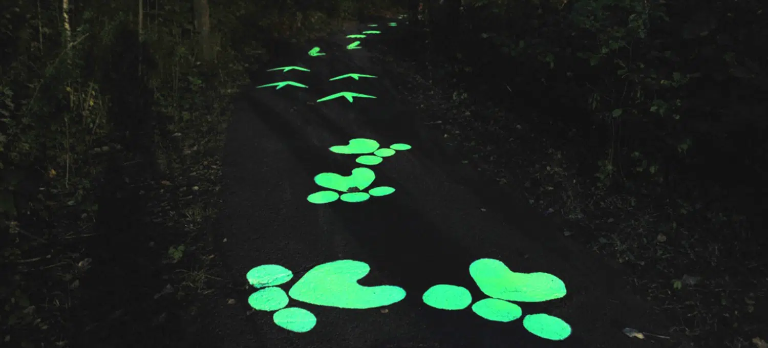 Phosphorescence to mark ground murals in our cities