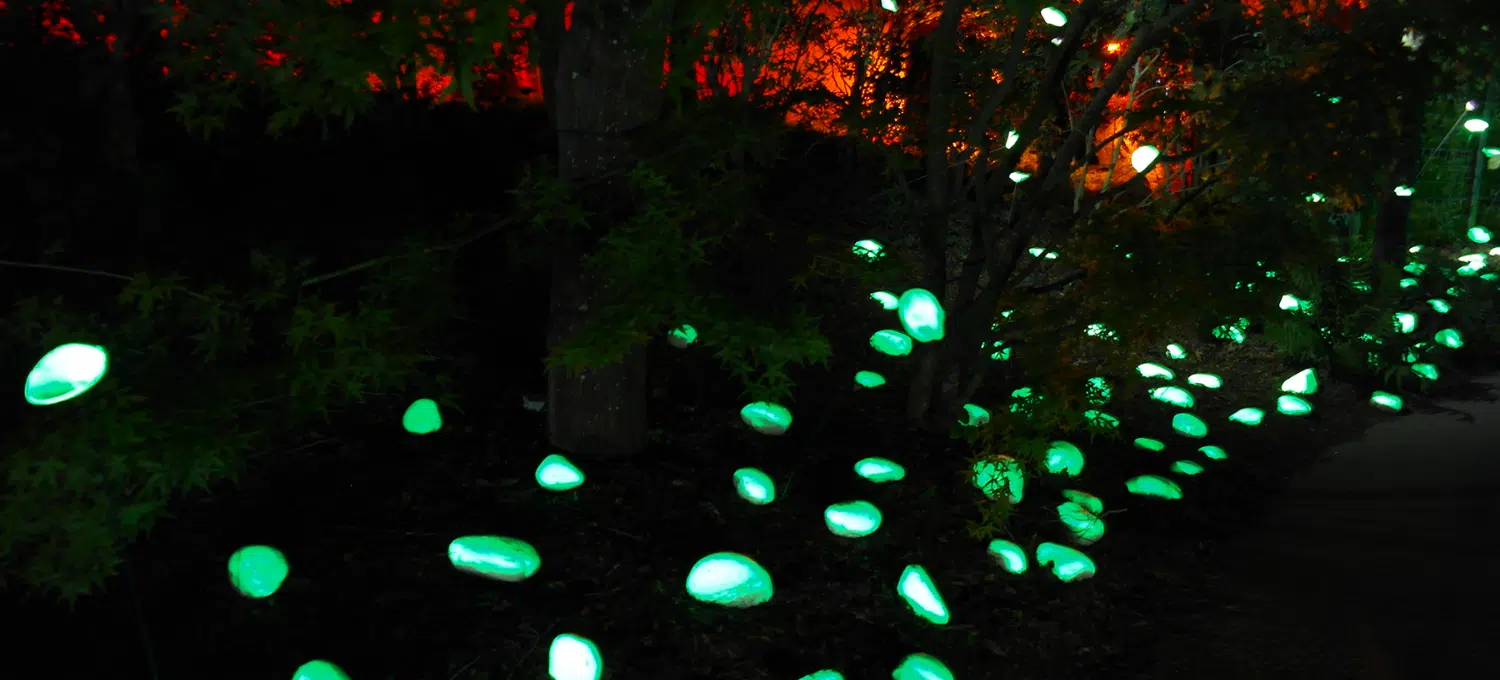 LuminoKrom® utilisée à Terra Botanica, parc dédié au végétal