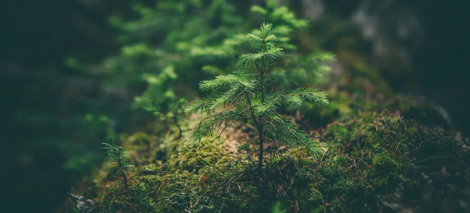 What is LCA, the Life Cycle Assessment method?