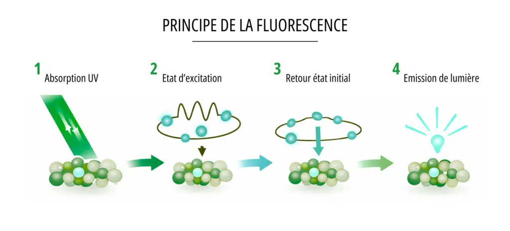 schema-principe-fluorescence schema principe fluorescence